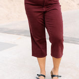 Eva High Rise Tummy Control Burgundy Wide Leg Jeans - PLUS